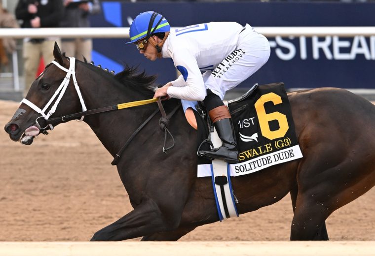 Solitude Dude the Swale credit Nicole Thomas - Coglianese Photo