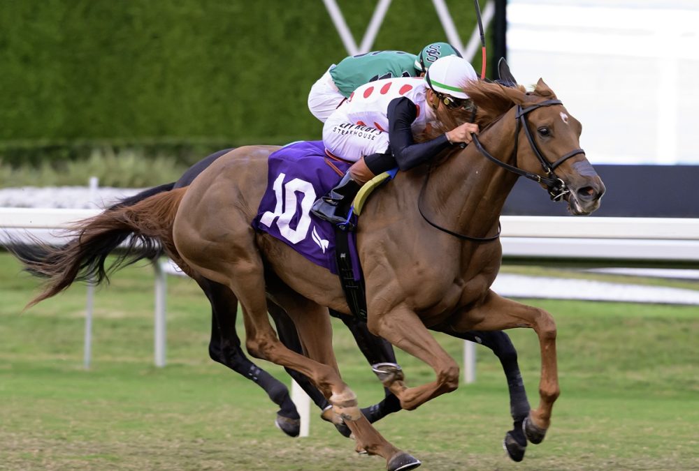 Souper Zonda the Sunshine Filly Mare Turf - credit Electra Boone - Coglianese Photo