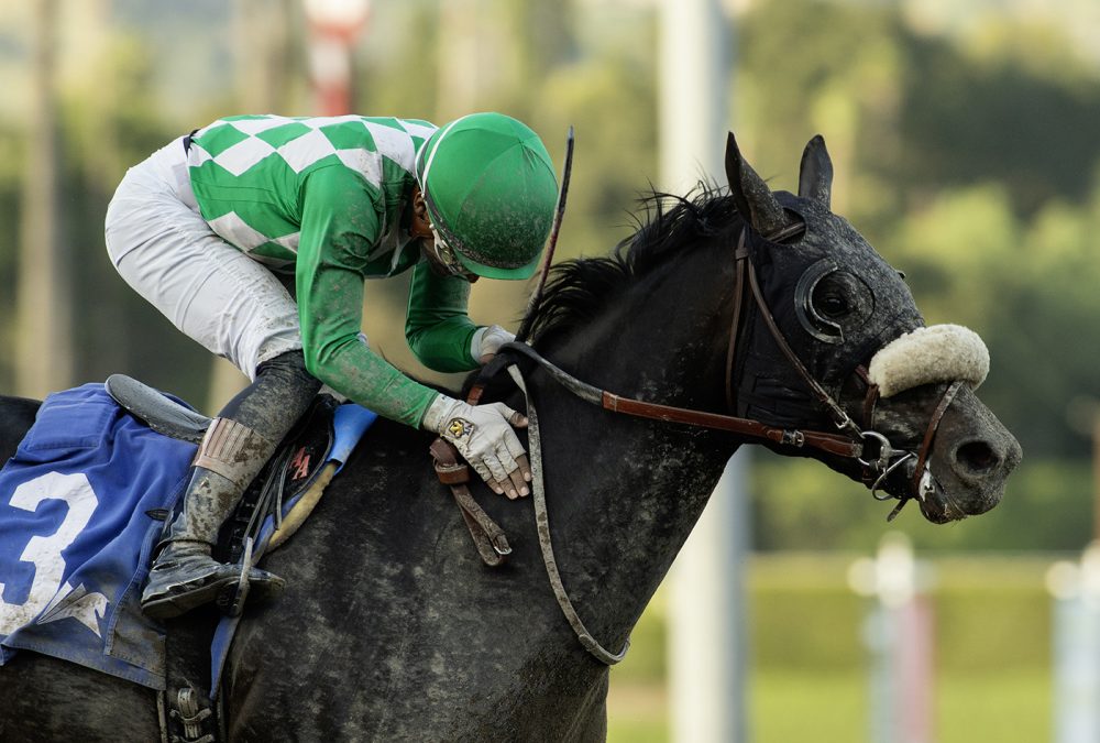 Start the Ride – California Chrome Cal Cup Derby – Santa Anita Park – Benoit Photo