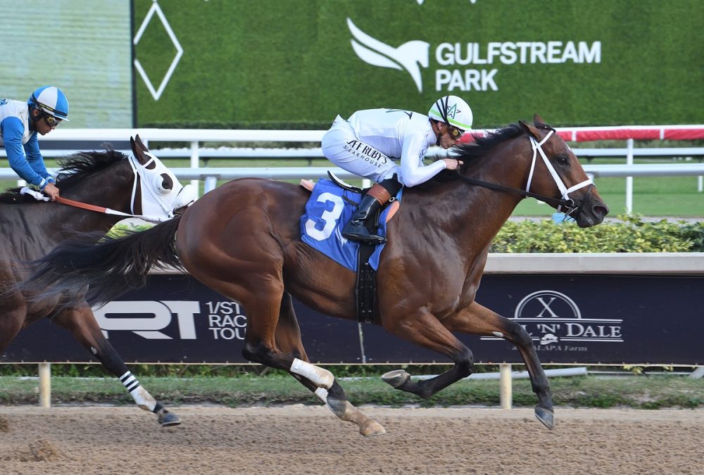 Tappan Street - Coglianese Photo