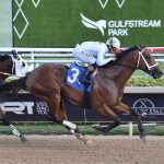 Tappan Street - Coglianese Photo