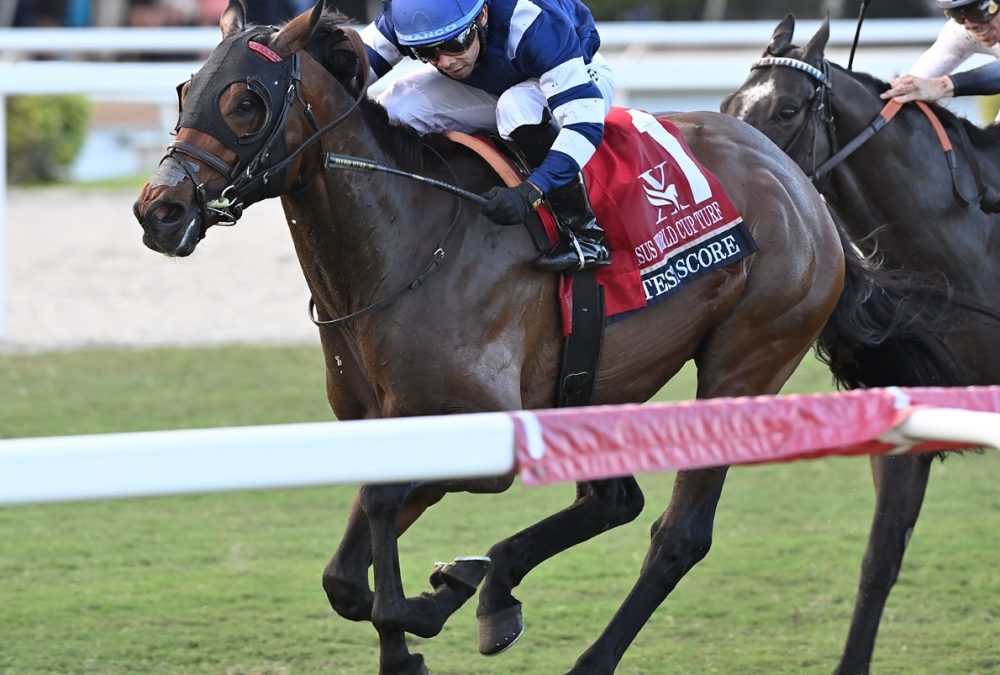 Test Score the Pegasus Turf credit Angelo Lieto