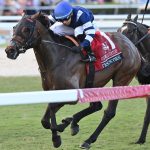 Test Score the Pegasus Turf credit Angelo Lieto