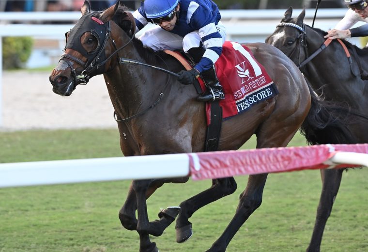 Test Score the Pegasus Turf credit Angelo Lieto