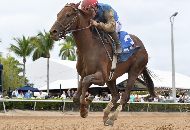 Thunderously credit Ryan Thompson - Coglianese Photo