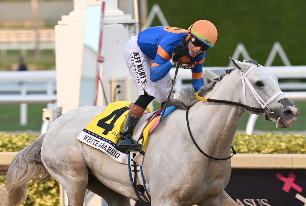 White Abarrio - credit Coglianese Photo