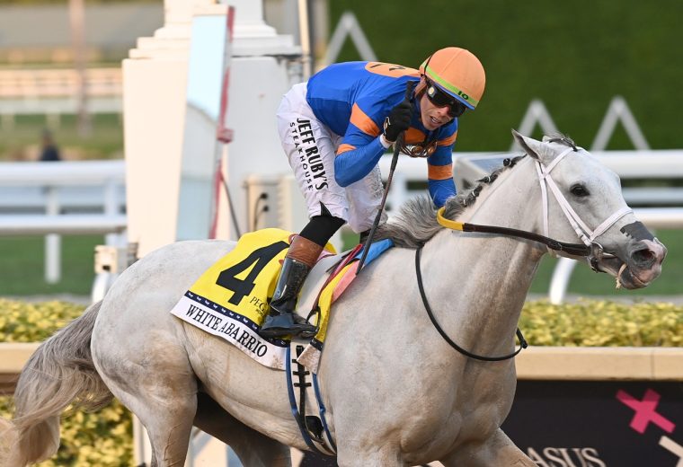 White Abarrio - credit Coglianese Photo