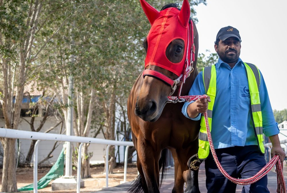 Forever Young (Jpn) en Meydan – Foto credito: Dubai Racing Club