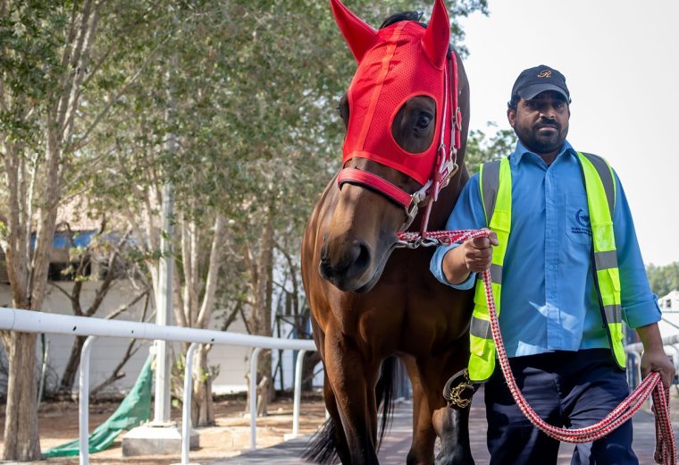 Forever Young (Jpn) en Meydan – Foto credito: Dubai Racing Club