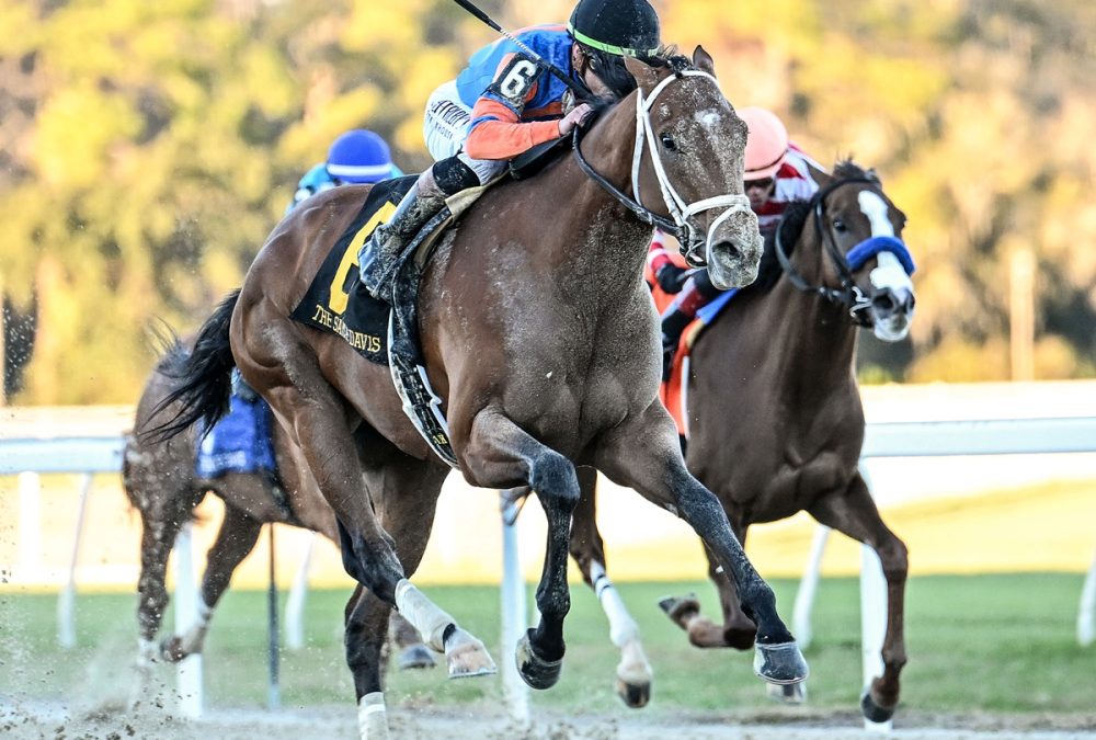 Renegade - Sam F. Davis Stakes - SV Photography - Tampa Bay Downs