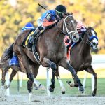 Renegade - Sam F. Davis Stakes - SV Photography - Tampa Bay Downs