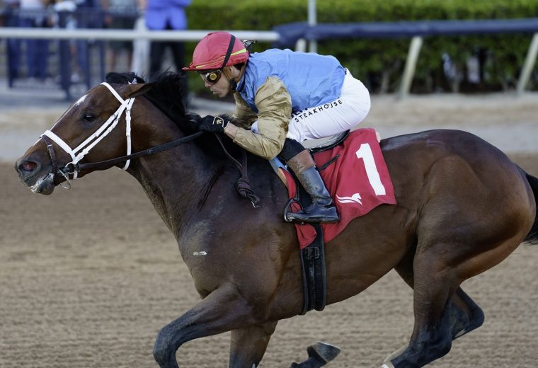 Commandment - the Mucho Macho Man - credit Ryan Thompson - Coglianese Photo