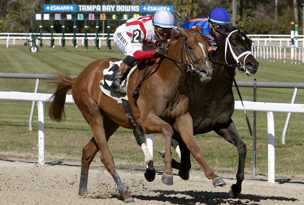 Emerging Market y Powershift - foto: Tom Keyser - Daily Racing Form