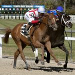 Emerging Market y Powershift - foto: Tom Keyser - Daily Racing Form