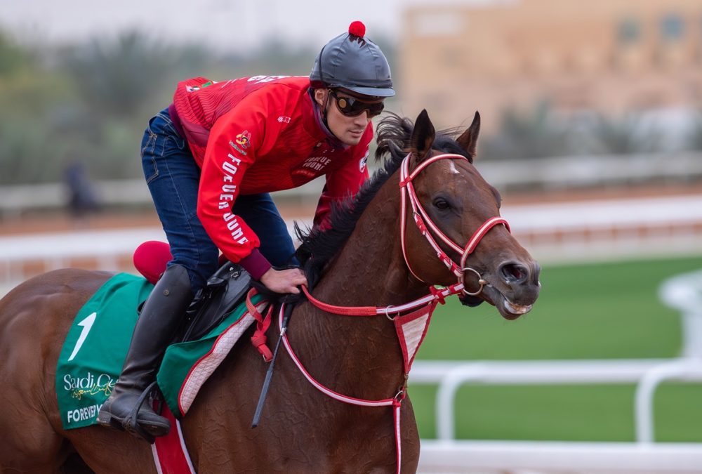 FOREVER YOUNG (JPN) - Jockey Club of Saudi Arabia - Abdullah Wanas