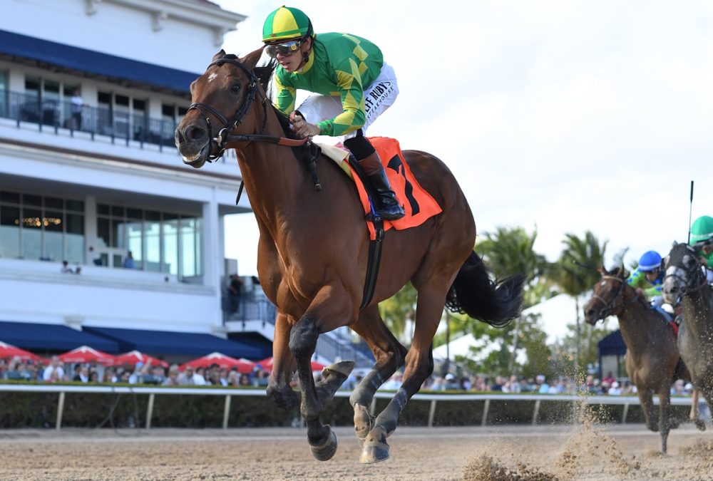 First Call Bob credit Ryan Thompson - Coglianese Photo