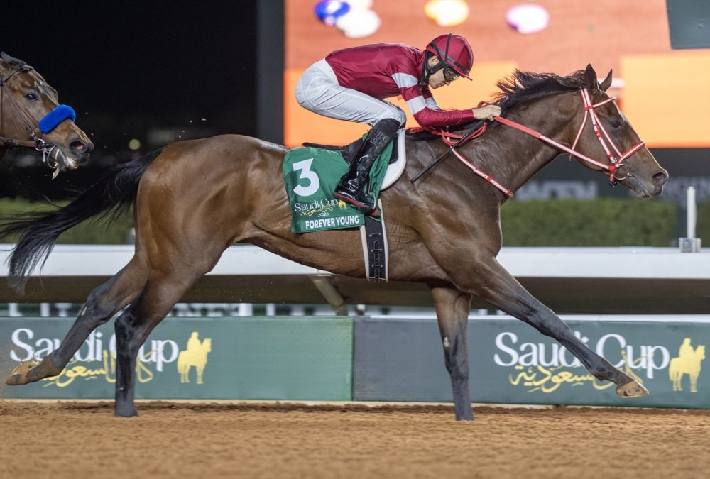Forever Young - Saudi Cup - King Abdulaziz Racecourse -Riyadh Saudi Arabia - Mathea Kelley - JCSA