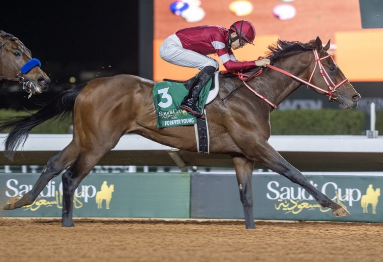 Forever Young - Saudi Cup - King Abdulaziz Racecourse -Riyadh Saudi Arabia - Mathea Kelley - JCSA