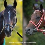 Forever Young (Jpn) & Sovereignty - fotos credito: Barbara D. Livingston - Daily Racing Form