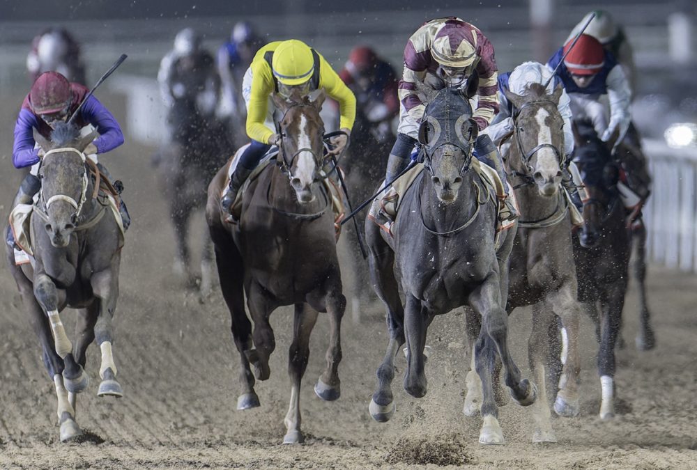Brotherly Love (GB) – Dubai Road to the Kentucky Derby Stakes – credit Dubai Racing Club Media