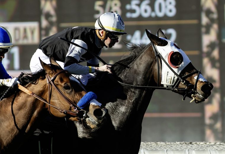 Gratefully – Wishing Well Stakes – Benoit Photo – Santa Anita Park