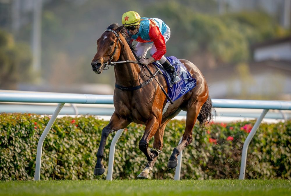 Ka Ying Rising – Queen’s Silver Jubilee Cup G1 – foto credito Hong Kong Racing Club