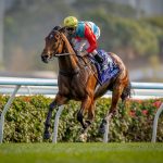 Ka Ying Rising – Queen’s Silver Jubilee Cup G1 – foto credito Hong Kong Racing Club
