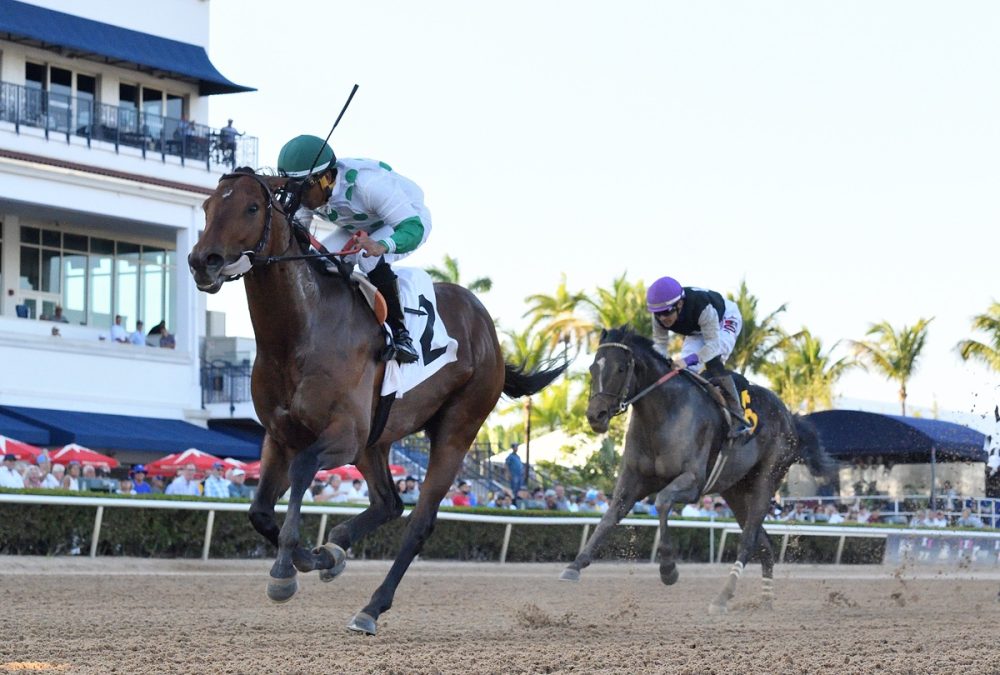 Jack’s Promise – Gulfstream Park Sprint – foto crédito Ryan Thompson / Coglianese Photo