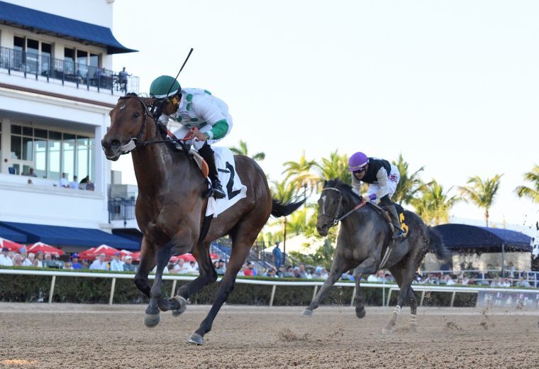 Jack’s Promise – Gulfstream Park Sprint – foto crédito Ryan Thompson / Coglianese Photo