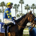 Litmus Test - Benoit Photo