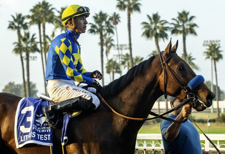 Litmus Test - Benoit Photo