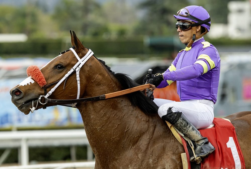 Emisael Jaramillo – © BENOIT PHOTO