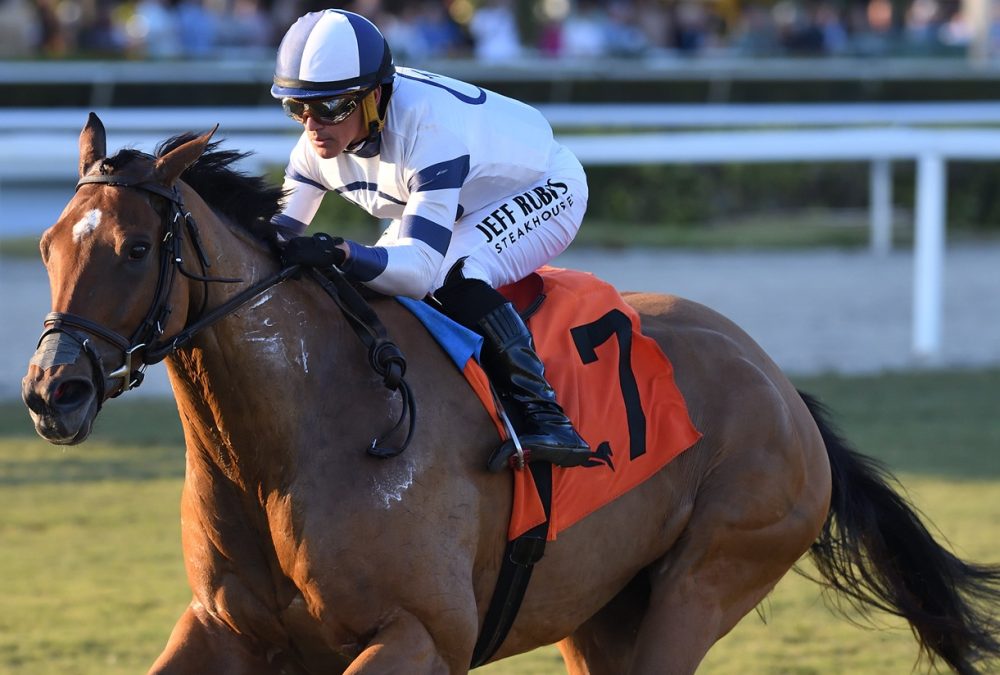 Moon Spun the Ladies Turf Sprint credit Ryan Thompson - Coglianese Photo