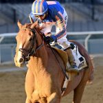 Paladin - Coglianese Photo, NY.