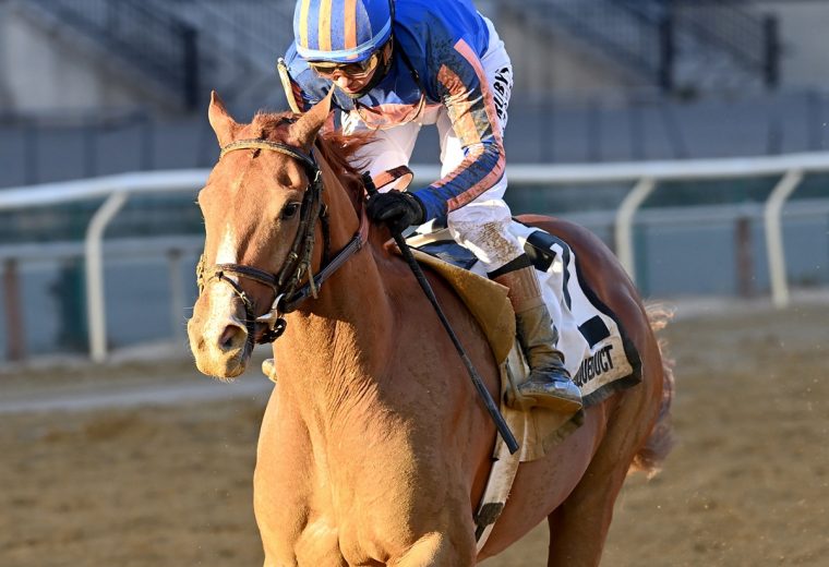 Paladin - Coglianese Photo, NY.