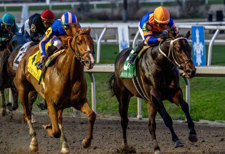 Paladin – Risen Star Stakes G2 – LA. Hodges Photography