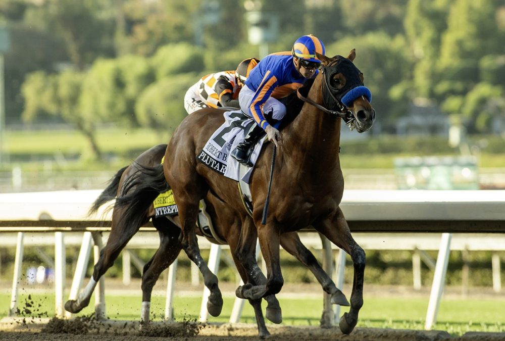 Plutarch - Grade III $100,000 Robert B. Lewis Stakes - Santa Anita Park - Benoit Photo
