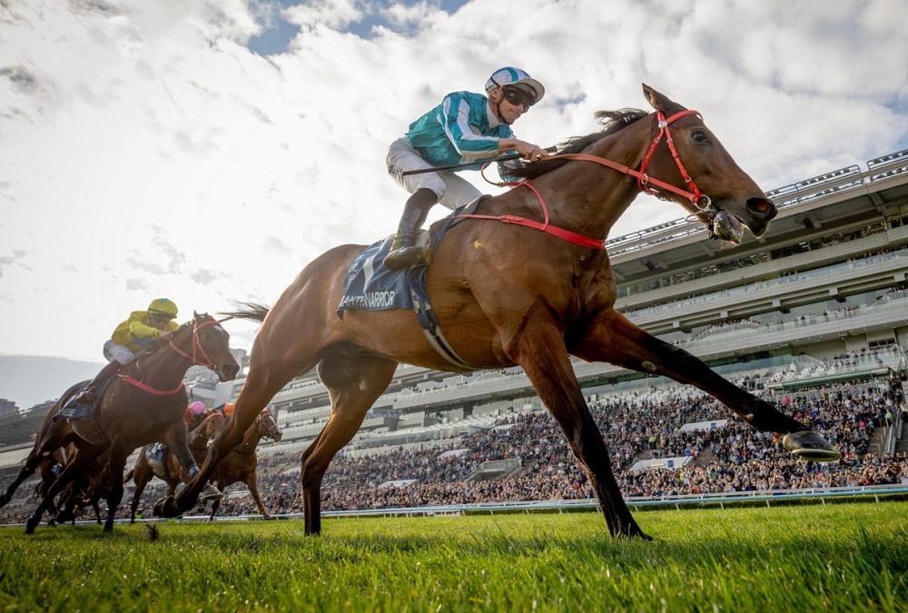 Romantic Warrior – Alex Evers – Hong Kong Jockey Club