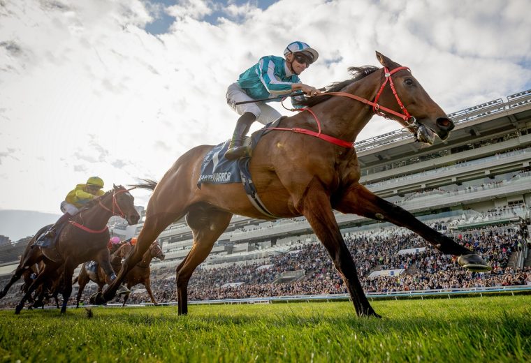 Romantic Warrior – Alex Evers – Hong Kong Jockey Club