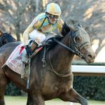 SILENT TACTIC - The Southwest Stakes G3 - Oaklawn Park - Coady Media - Cady Coulardot
