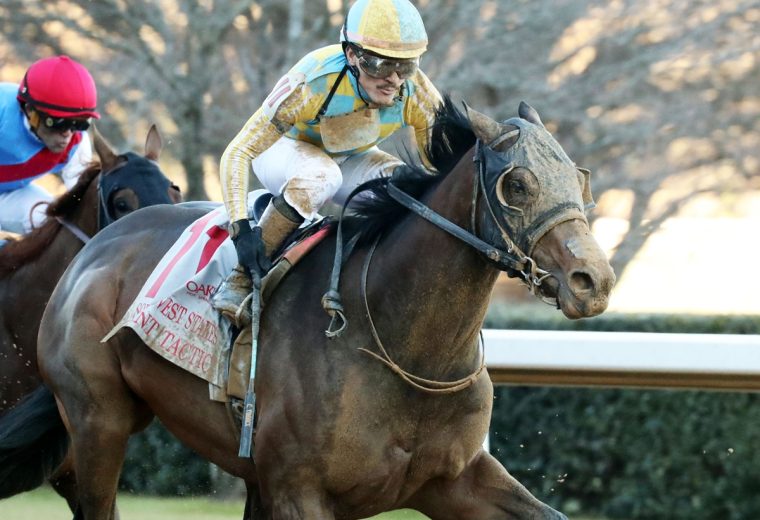 SILENT TACTIC - The Southwest Stakes G3 - Oaklawn Park - Coady Media - Cady Coulardot