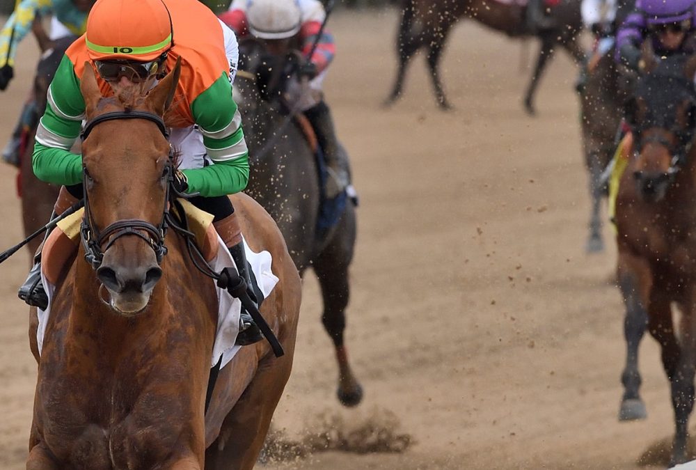 Senza Parole - Ryan Thompson - Coglianese Photo