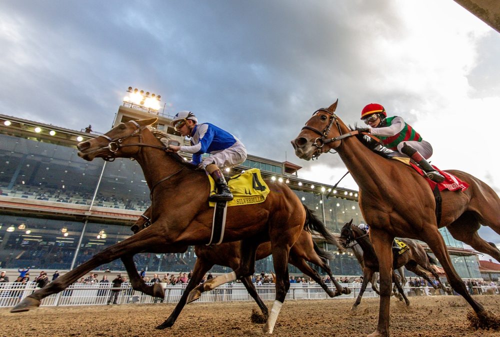 Taken By The Wind - Fair Grounds Racecourse in New Orleans, LA. Hodges Photography/Amanda Hodges