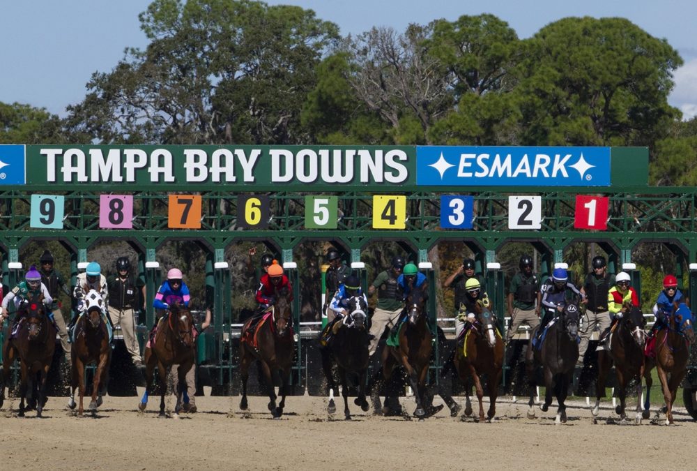 Tampa Bay Downs - Tom Keyser photo / DRF