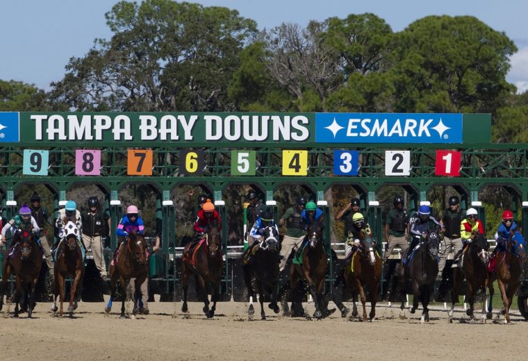Tampa Bay Downs - Tom Keyser photo / DRF