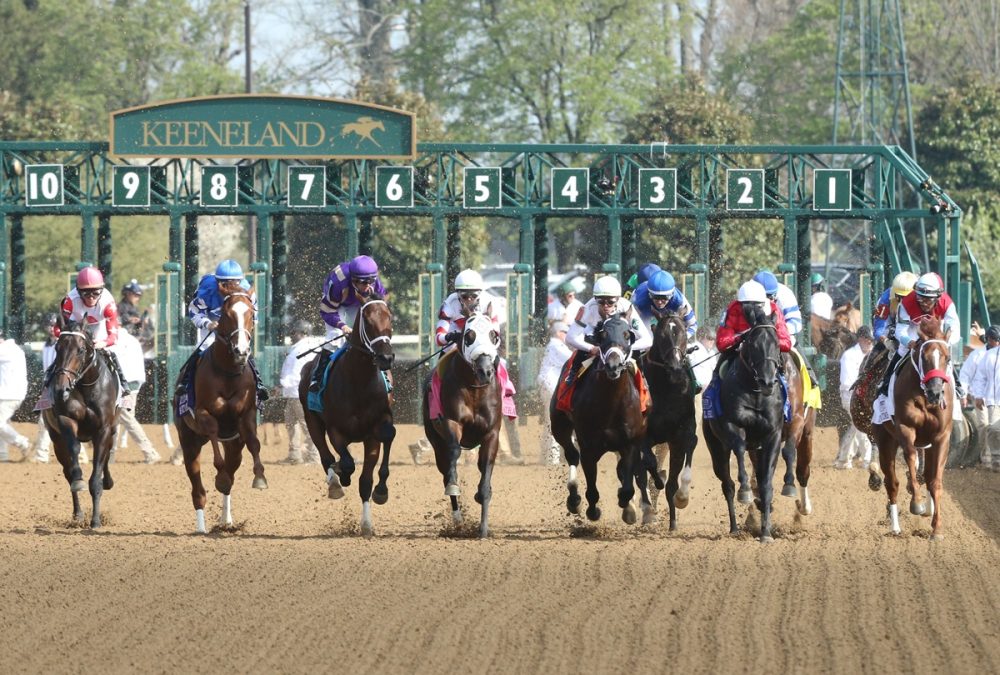 Keeneland scenic – Coady Media / Keeneland