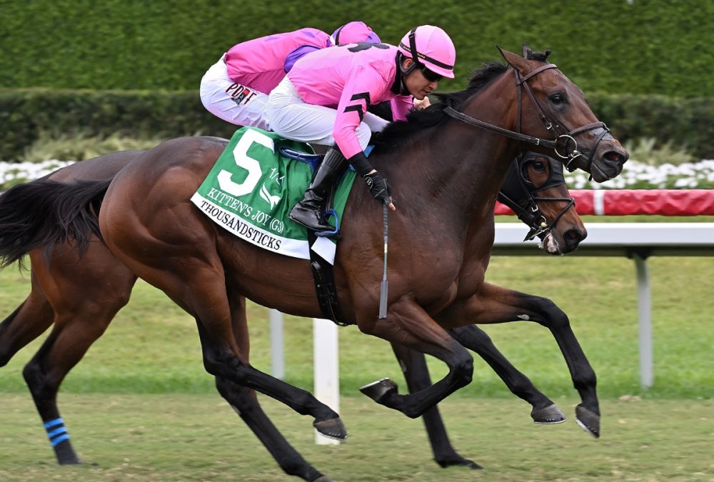 Thousandsticks - Lauren King - Coglianese photo