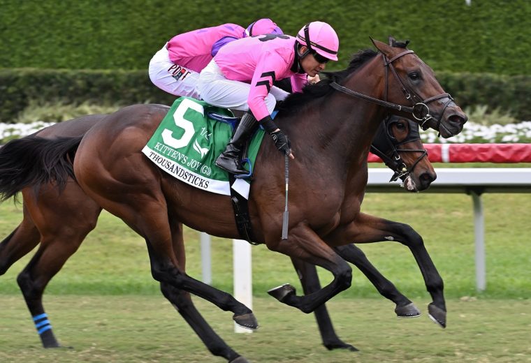 Thousandsticks - Lauren King - Coglianese photo