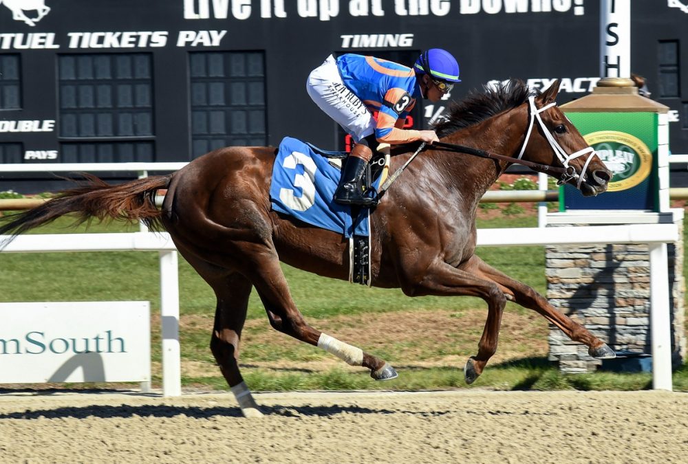 Zany - SV Photography - Tampa Bay Downs