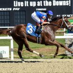 Zany - SV Photography - Tampa Bay Downs
